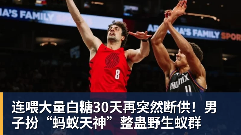 连喂大量白糖30天再突然断供！男子扮“蚂蚁天神”整蛊野生蚁群
